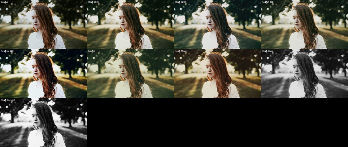 Film & Mono preview
