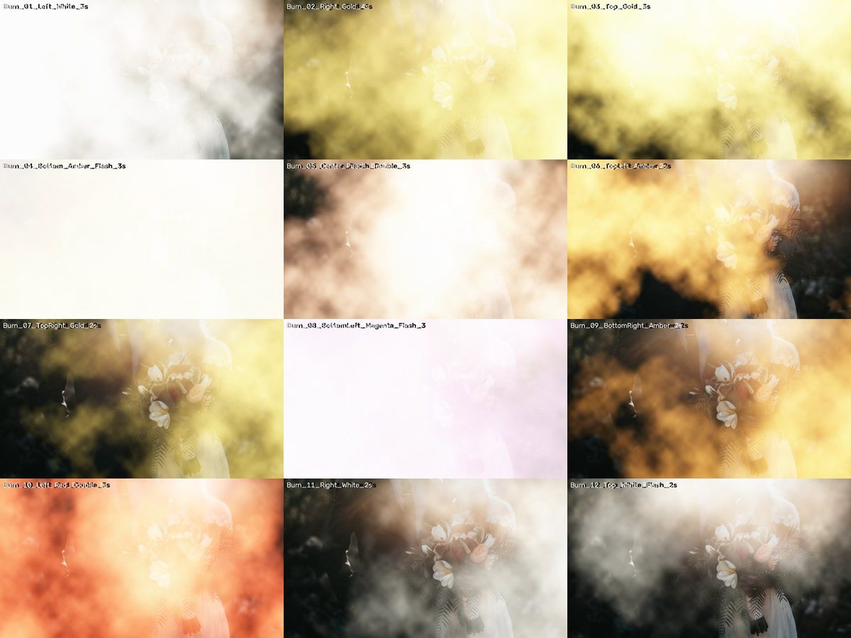 Film Burns Collection preview